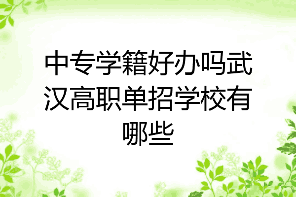 中专学籍好办吗武汉高职单招学校有哪些