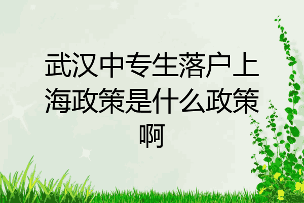 武汉中专生落户上海政策是什么政策啊