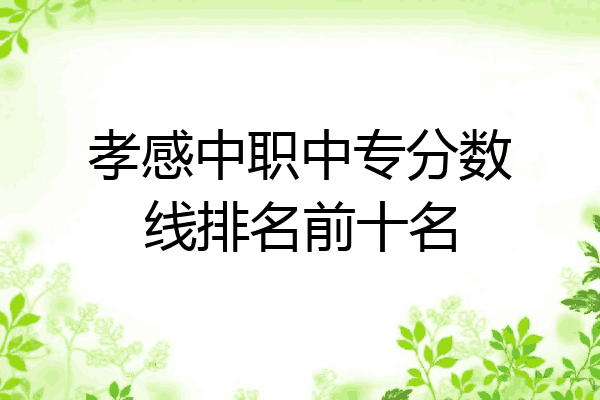 孝感中职中专分数线排名前十名