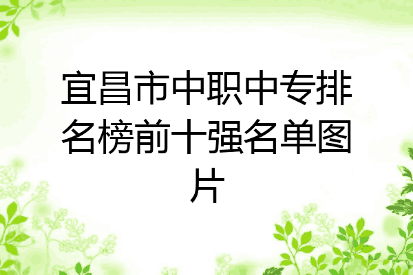 宜昌市中职中专排名榜前十强名单图片