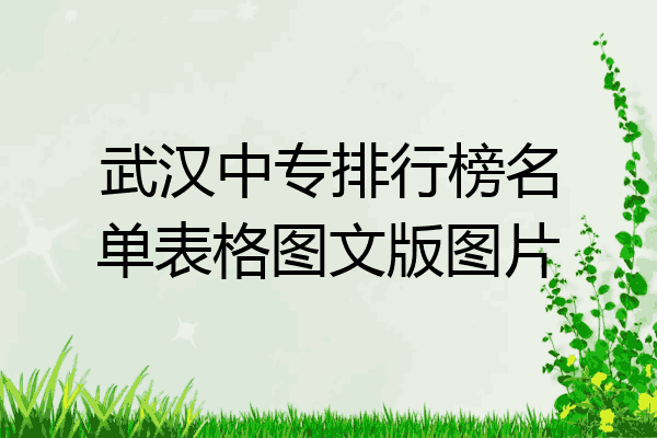武汉中专排行榜名单表格图文版图片