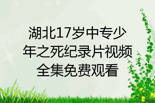 湖北17岁中专少年之死纪录片视频全集免费观看