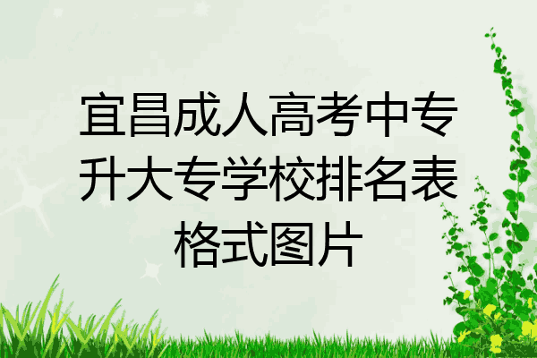宜昌成人高考中专升大专学校排名表格式图片
