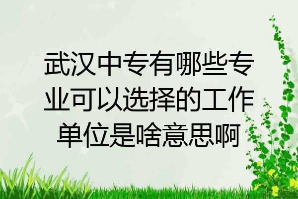武汉中专有哪些专业可以选择的工作单位是啥意思啊