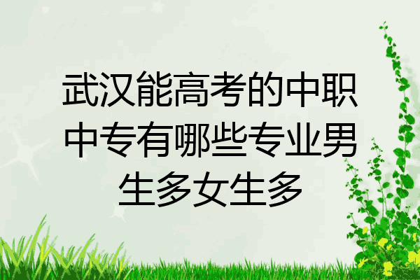 武汉能高考的中职中专有哪些专业男生多女生多