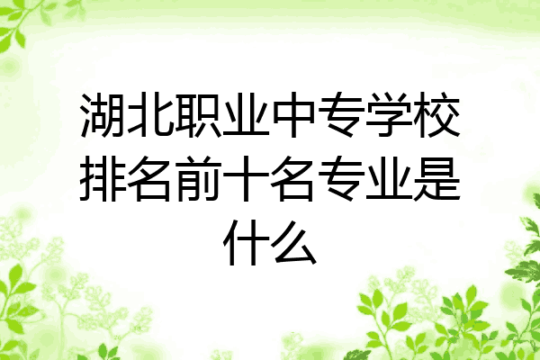 湖北职业中专学校排名前十名专业是什么