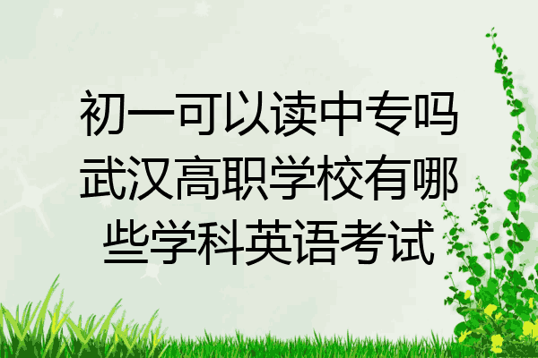 初一可以读中专吗武汉高职学校有哪些学科英语考试