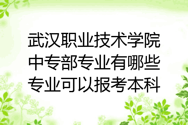 武汉职业技术学院中专部专业有哪些专业可以报考本科