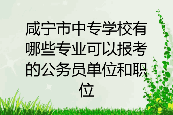 咸宁市中专学校有哪些专业可以报考的公务员单位和职位