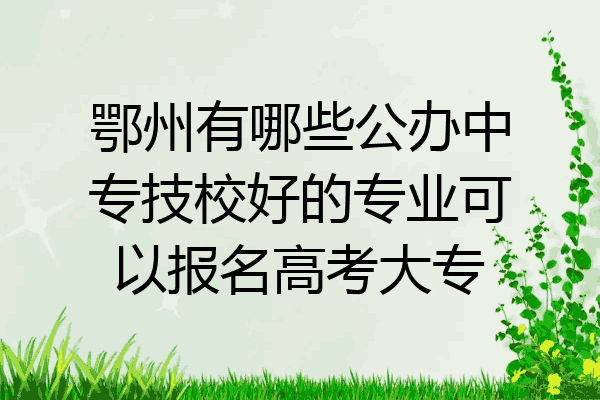 鄂州有哪些公办中专技校好的专业可以报名高考大专