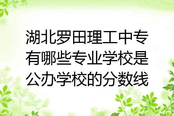 湖北罗田理工中专有哪些专业学校是公办学校的分数线