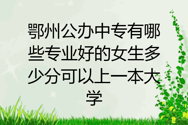 鄂州公办中专有哪些专业好的女生多少分可以上一本大学