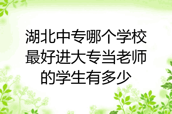 湖北中专哪个学校最好进大专当老师的学生有多少