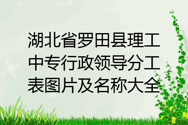 湖北省罗田县理工中专行政领导分工表图片及名称大全