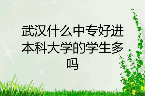武汉什么中专好进本科大学的学生多吗