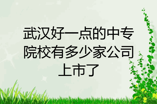 武汉好一点的中专院校有多少家公司上市了
