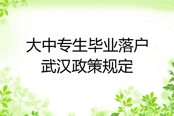 大中专生毕业落户武汉政策规定