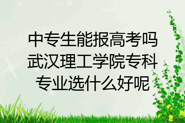 中专生能报高考吗武汉理工学院专科专业选什么好呢