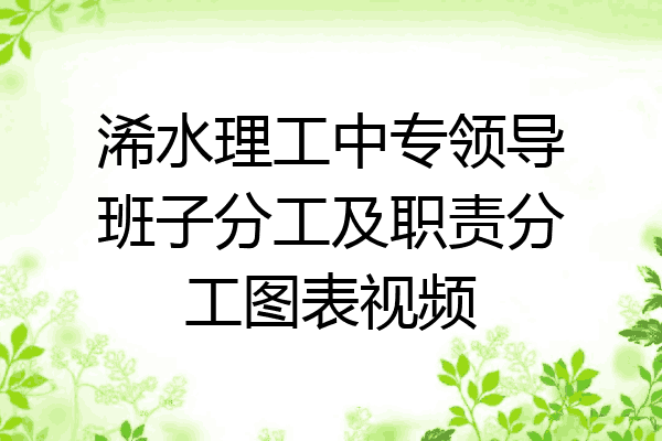 浠水理工中专领导班子分工及职责分工图表视频