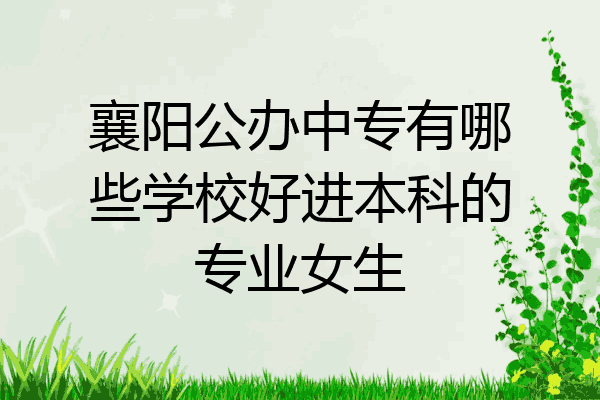 襄阳公办中专有哪些学校好进本科的专业女生