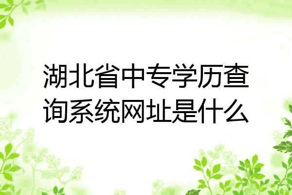 湖北省中专学历查询系统网址是什么