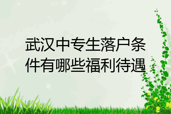 武汉中专生落户条件有哪些福利待遇