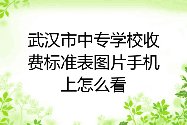 武汉市中专学校收费标准表图片手机上怎么看
