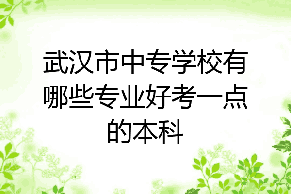 武汉市中专学校有哪些专业好考一点的本科