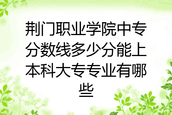 荆门职业学院中专分数线多少分能上本科大专专业有哪些