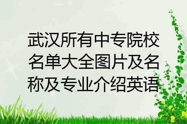 武汉所有中专院校名单大全图片及名称及专业介绍英语