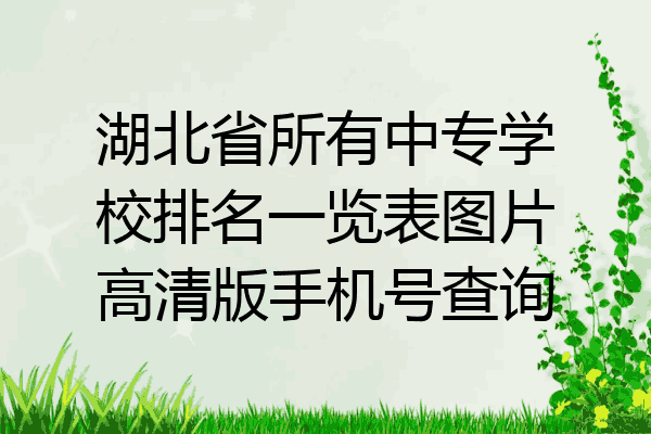 湖北省所有中专学校排名一览表图片高清版手机号查询