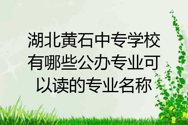 湖北黄石中专学校有哪些公办专业可以读的专业名称