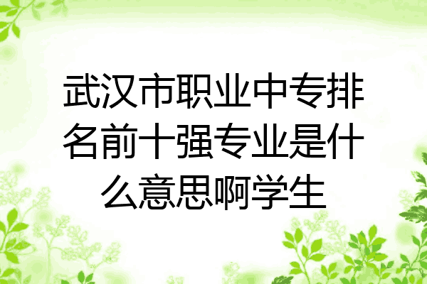 武汉市职业中专排名前十强专业是什么意思啊学生