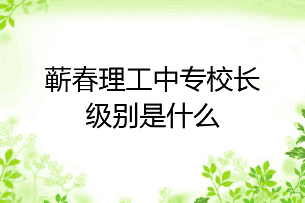 蕲春理工中专校长级别是什么