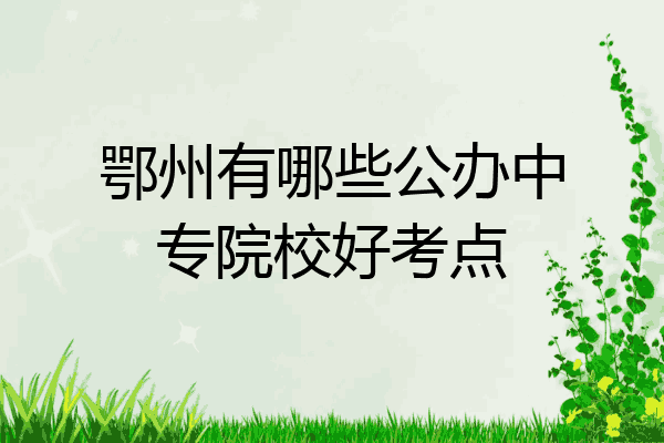 鄂州有哪些公办中专院校好考点