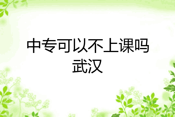 中专可以不上课吗武汉