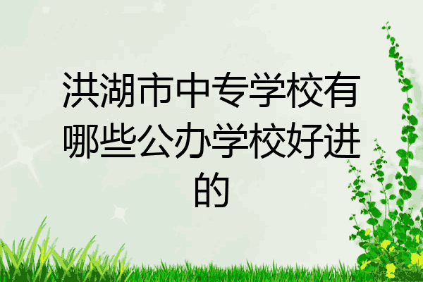 洪湖市中专学校有哪些公办学校好进的
