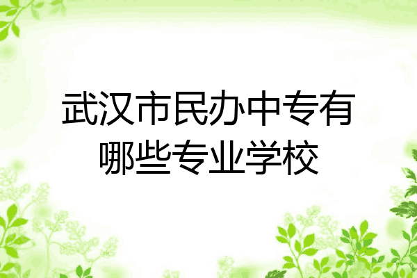 武汉市民办中专有哪些专业学校