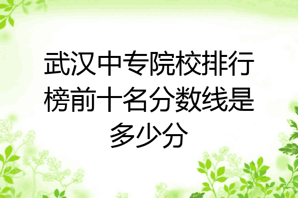 武汉中专院校排行榜前十名分数线是多少分