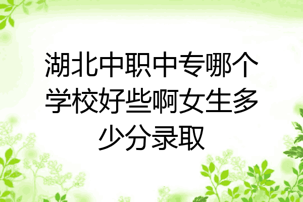 湖北中职中专哪个学校好些啊女生多少分录取