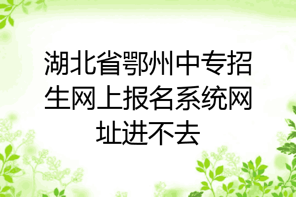 湖北省鄂州中专招生网上报名系统网址进不去