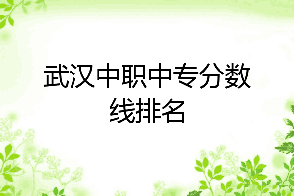 武汉中职中专分数线排名