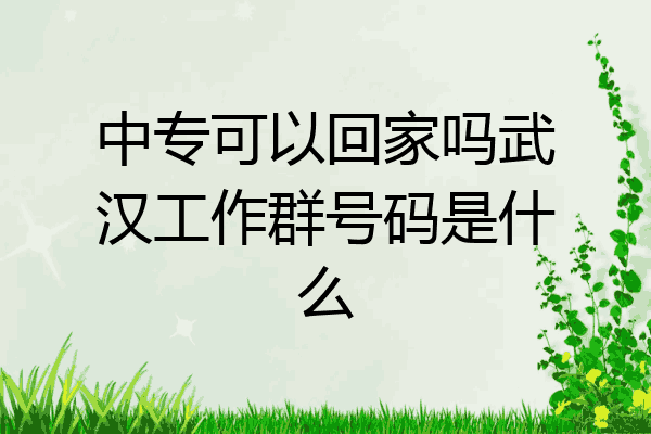 中专可以回家吗武汉工作群号码是什么