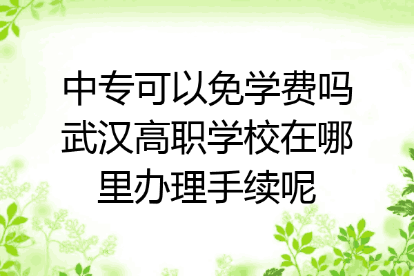 中专可以免学费吗武汉高职学校在哪里办理手续呢