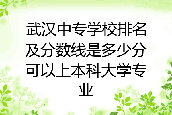 武汉中专学校排名及分数线是多少分可以上本科大学专业