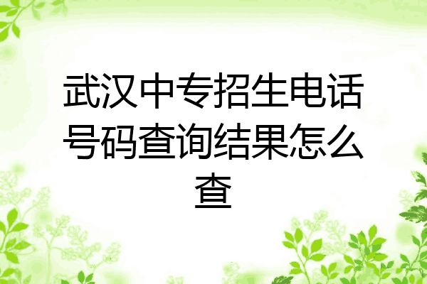 武汉中专招生电话号码查询结果怎么查