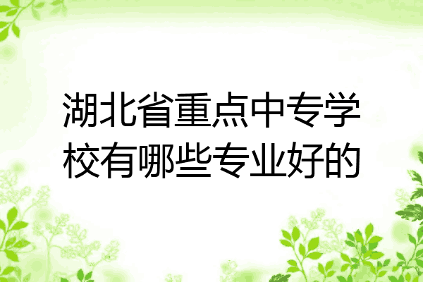 湖北省重点中专学校有哪些专业好的