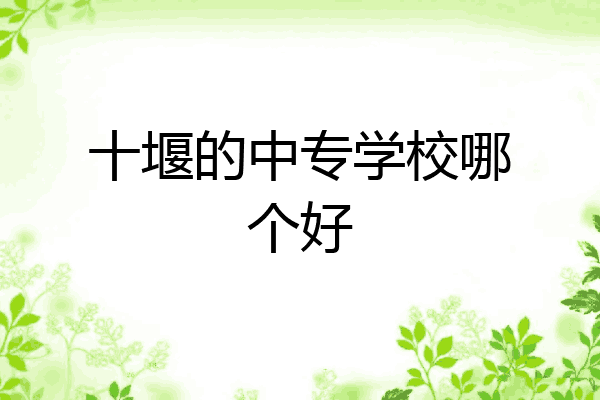 十堰的中专学校哪个好