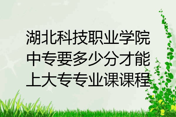 湖北科技职业学院中专要多少分才能上大专专业课课程