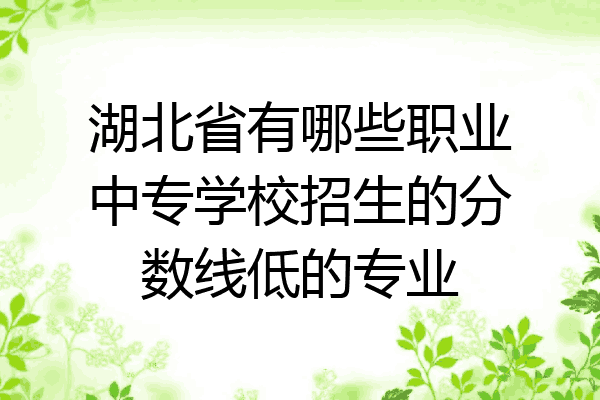 湖北省有哪些职业中专学校招生的分数线低的专业